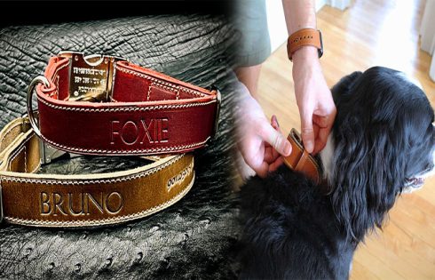 Personalized Embroidered Dog Collars with Quick-Release Buckles for Easy Identification